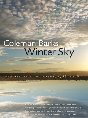 Winter Sky - ebook
